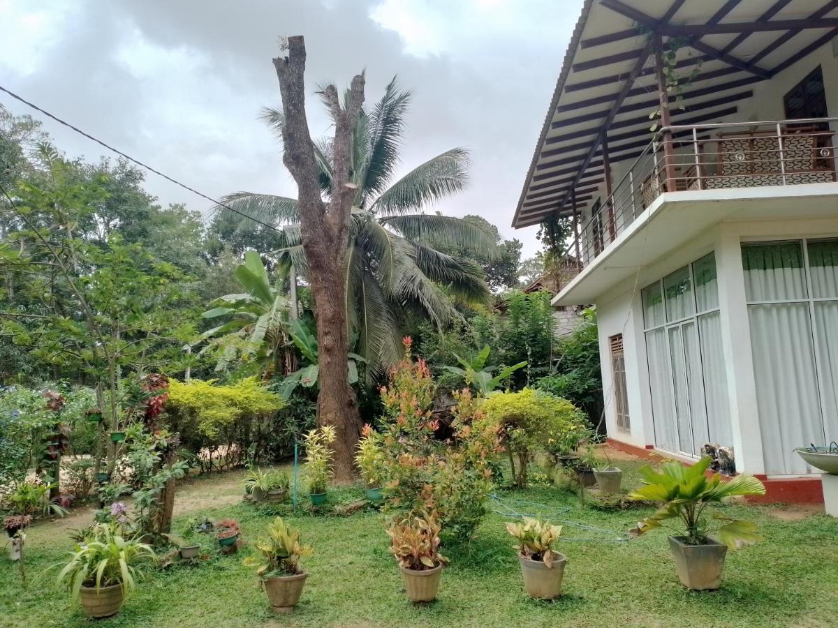 Habarana New Star Homestay Exterior photo